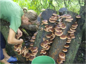 Food Sources | Dancing Rabbit Ecovillage