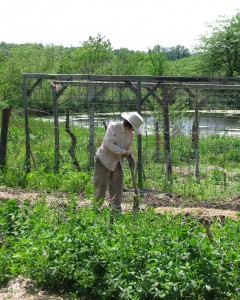 Cara working in the Skyhouse garden. Photo by Anya.