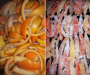 Waste not, want not—turning orange peels into candy, instead of compost. Photo by Brooke.