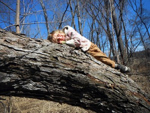 Althea and a maple tree recline together. Photo by Ben.