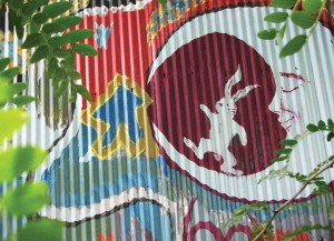 Detail of the new mural adorning the Larkspur household. Photo by Nik.