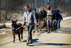 Pulling together, a team of Rabbits large and small lug ~800 lbs of log to DR from neighboring Red Earth Farms. Photo by Katherine.