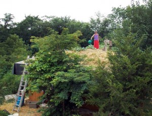Sharon waters a great example of stacked functions: Robinia’s rooftop garden. Photo by Dennis.