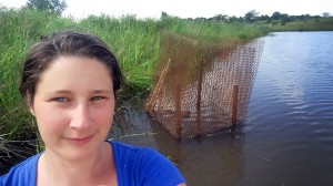 Visiting former Rabbits Sam (shown here) and Kody (not pictured) installed a turtle saving device around the outflow pipe on DR's pond this week. Photo by Sam.