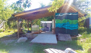 Spiffy new upgrades for The Grocery Store, courtesy of Cob, Jack Walter, Nik, and Katherine! Photo by Zach.