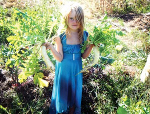 Daikon radish is fun to harvest, particularly in an evening gown. Photo by Ben.