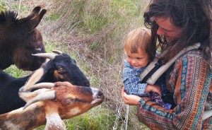 Young visitor Freya meets the critter crew for the first time. Photo by Javi.