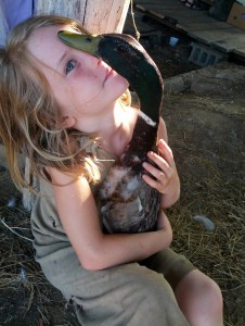 Althea hugging her duck. Photo by Ben.