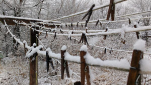 Snow on a clothesline, a quiet DR winter scene. Photo by Cob.