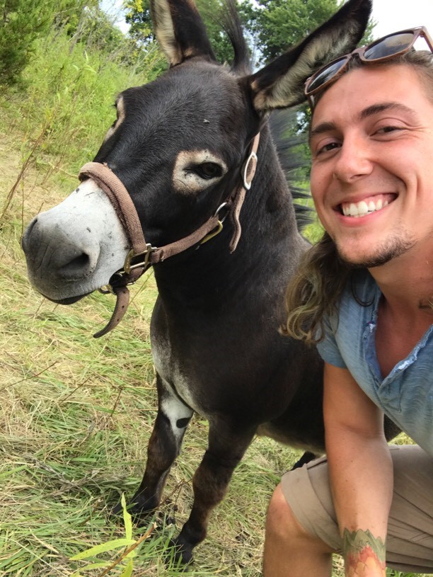Alex making friends with Donkey during his visitor session.