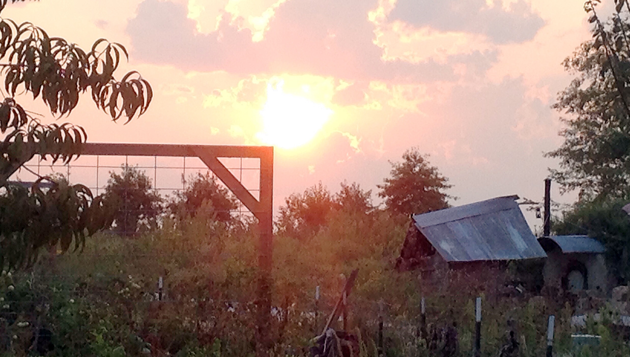 Full Circle Memories: A Dancing Rabbit Update