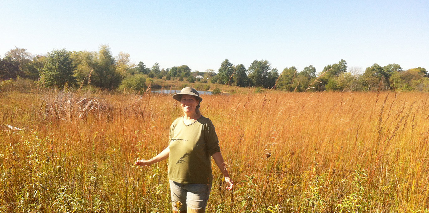 The Approach of Fall: A Dancing Rabbit Update