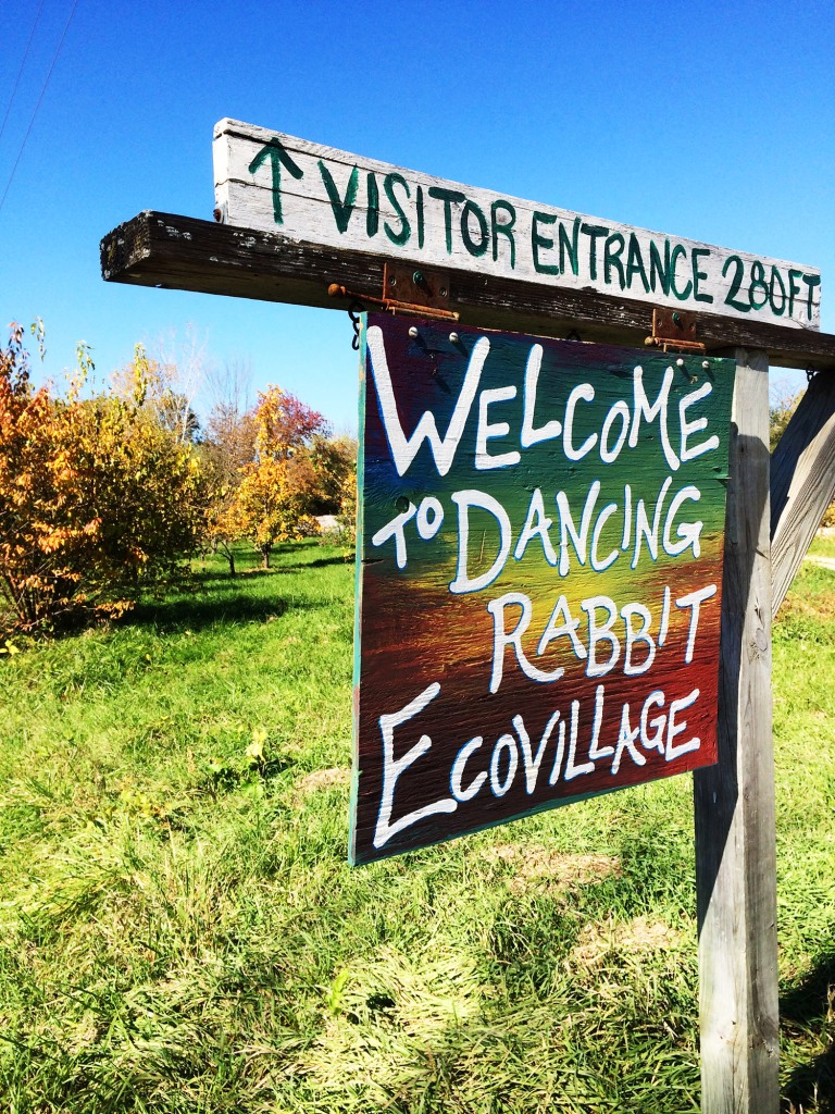 Learning at Dancing Rabbit