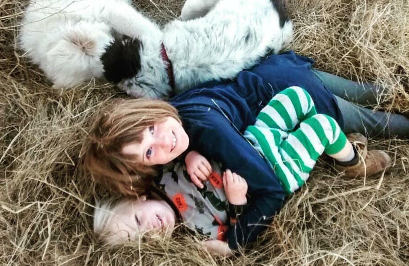 Food, Firewood, and Friendship: A Dancing Rabbit Update