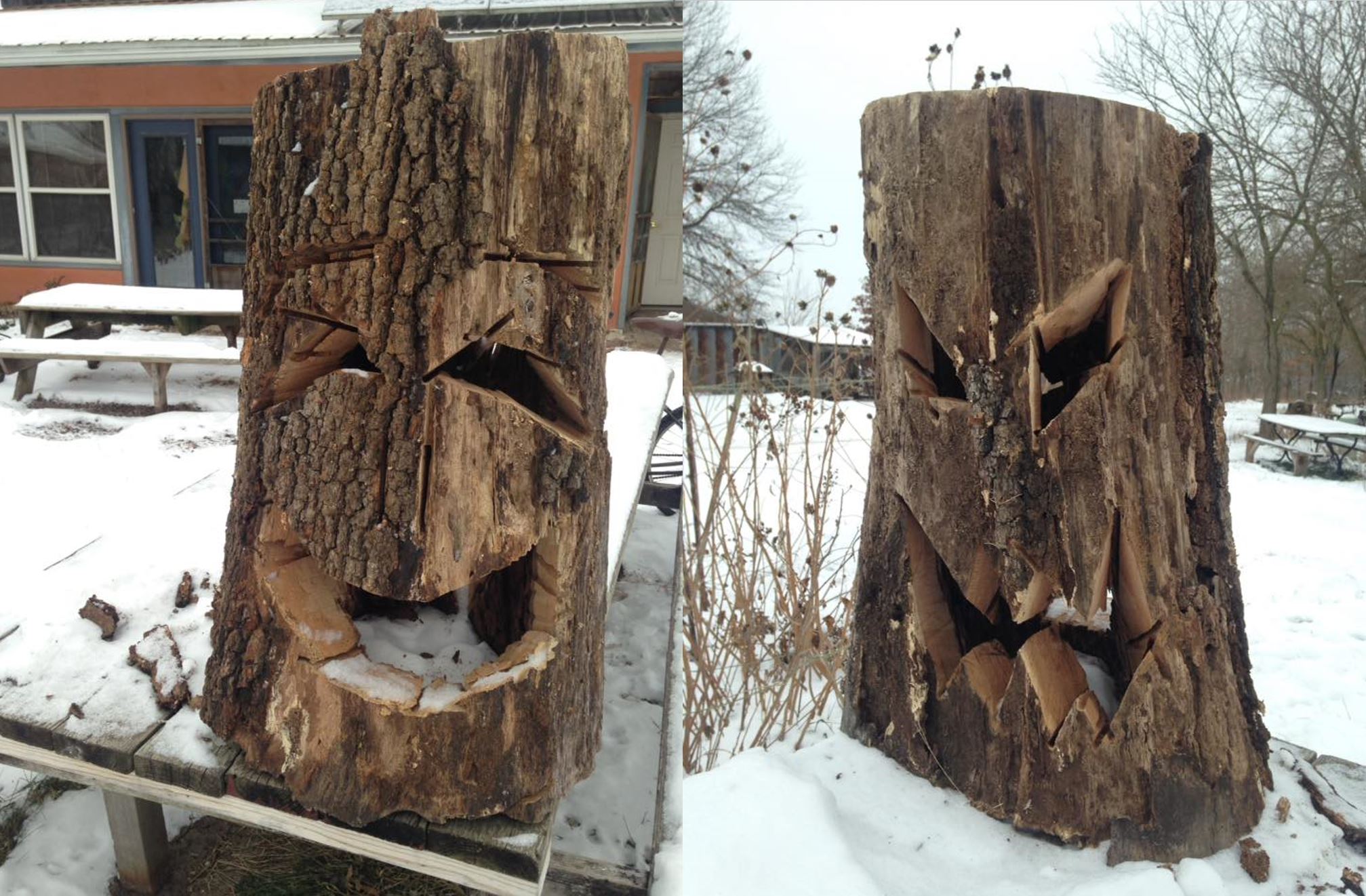 Bittersweet Winter: A Dancing Rabbit Update