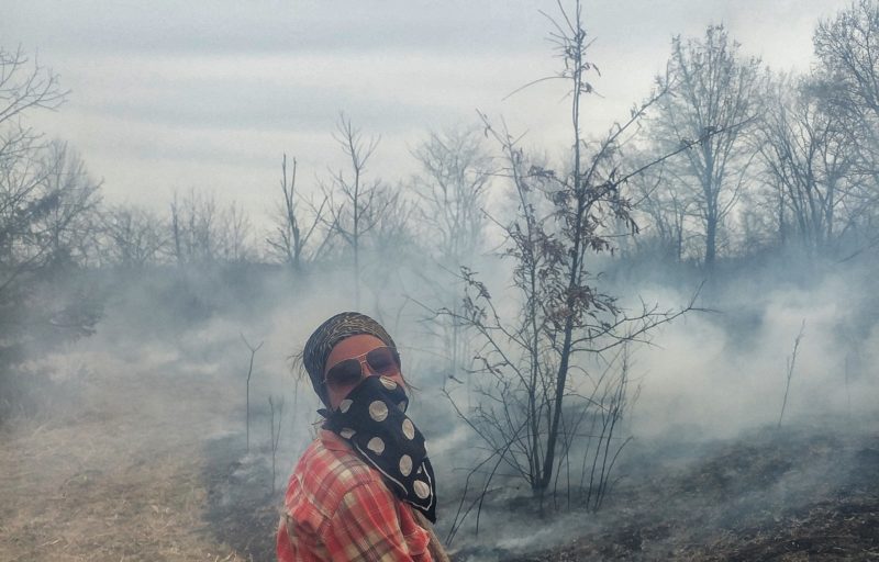 Fires, Visitors, Fun, and Trains: A Dancing Rabbit Update