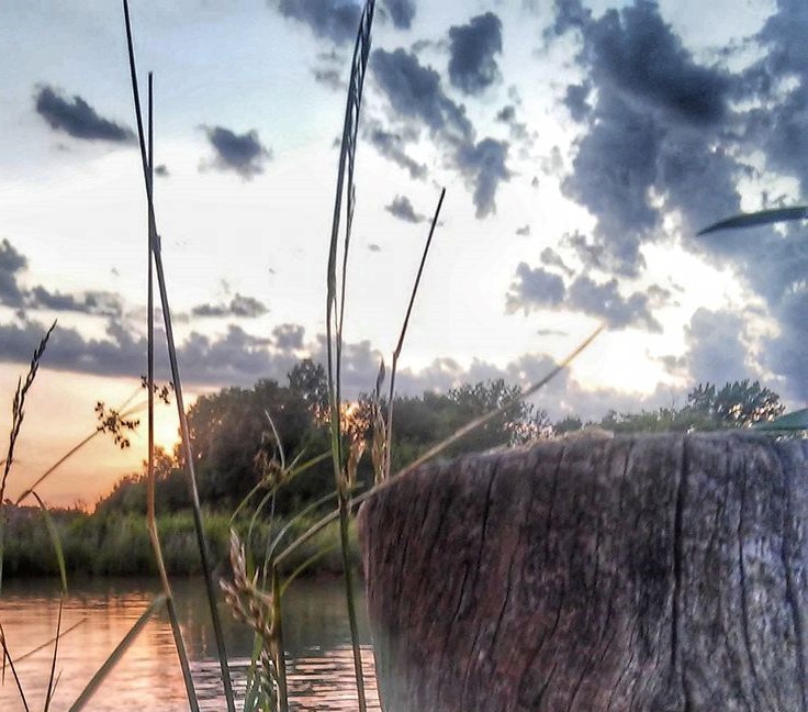 Be Like Water: A Dancing Rabbit Update