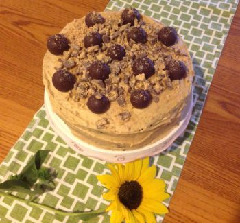 Alannah's birthday cake, made by Liz and her daughter, Talia. Happy birthday, Alannah!