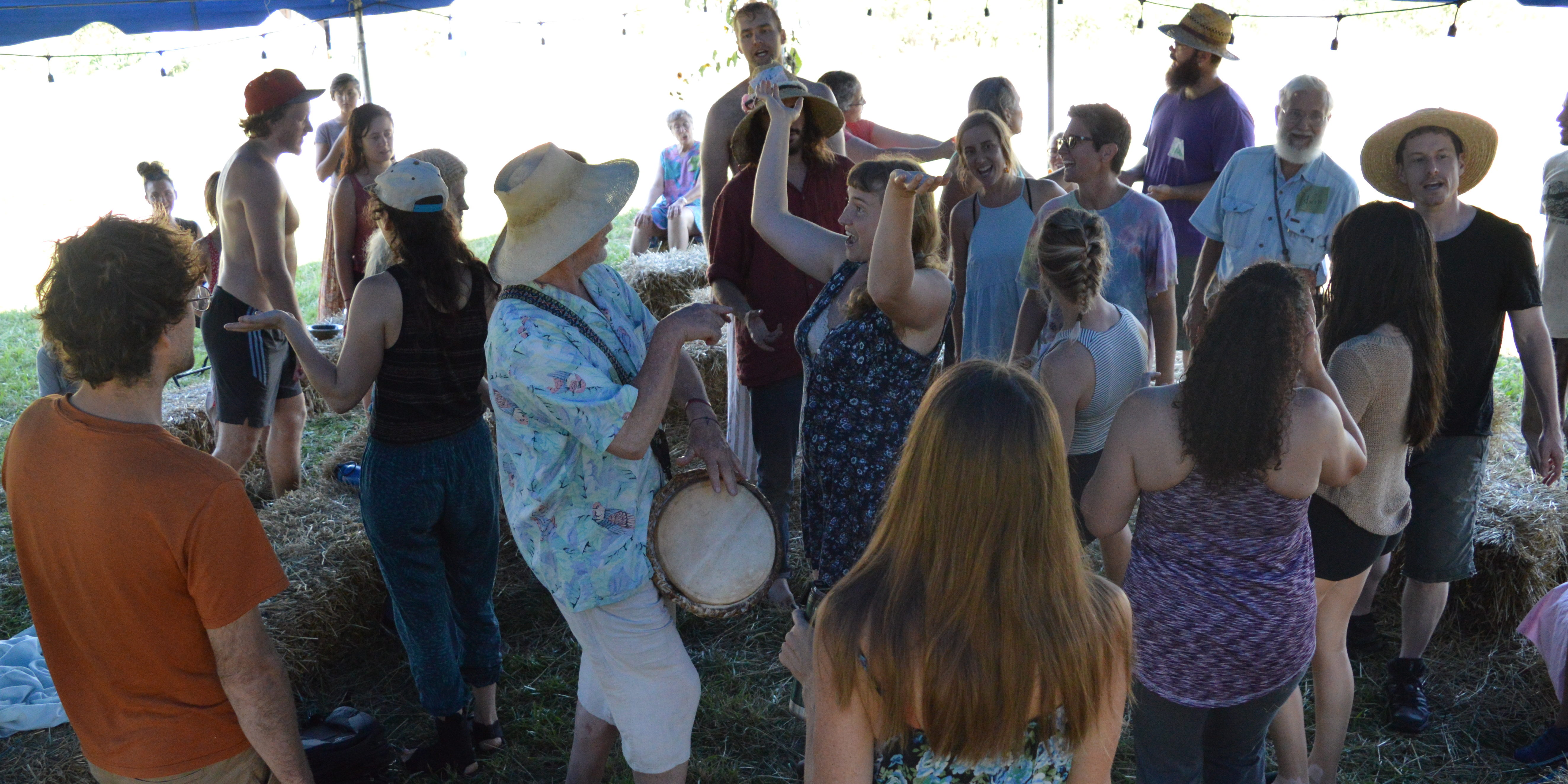 Bringing the Festival to My Own Backyard: A Dancing Rabbit Update