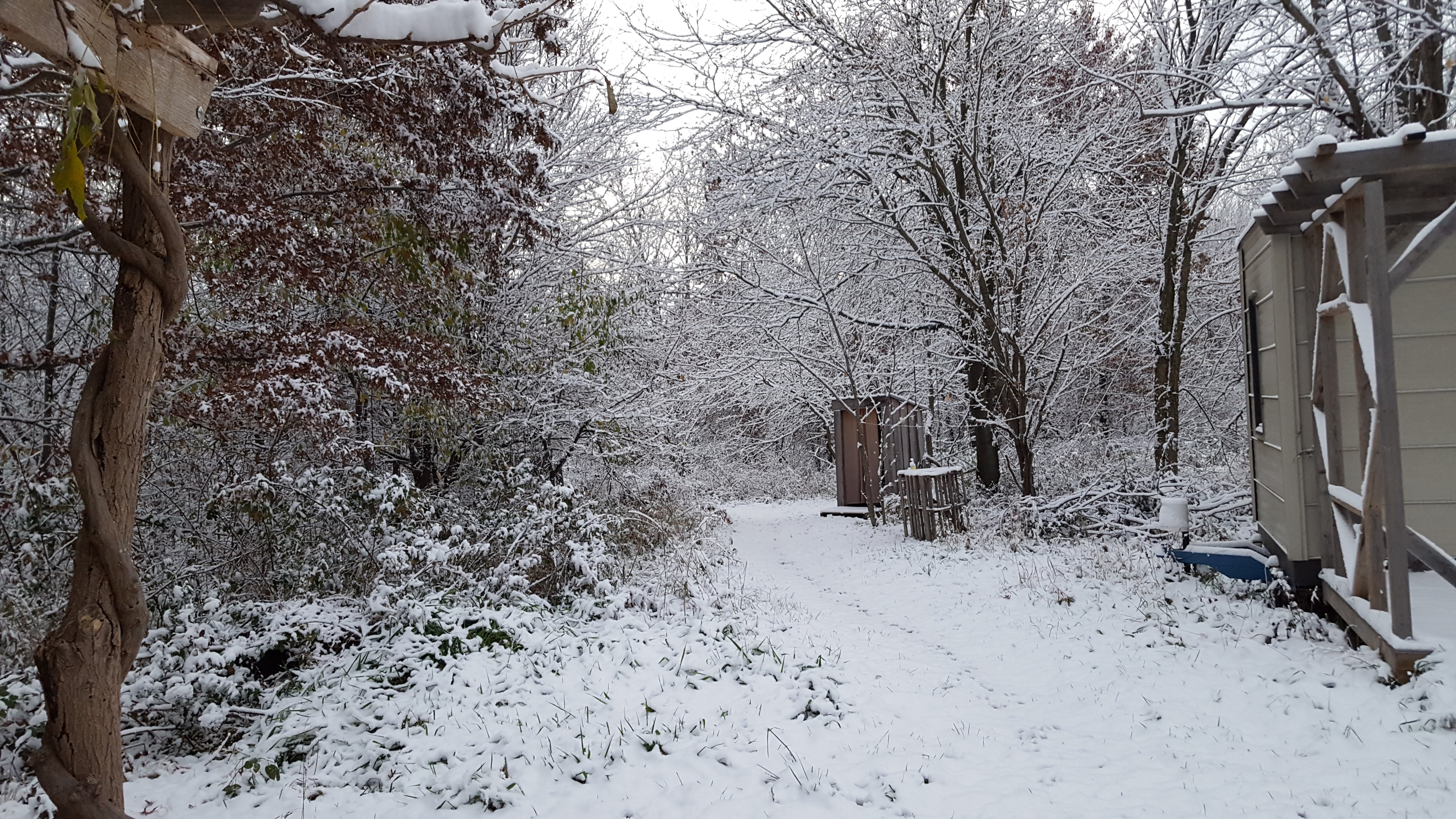 Winter Sleep: A Dancing Rabbit Update