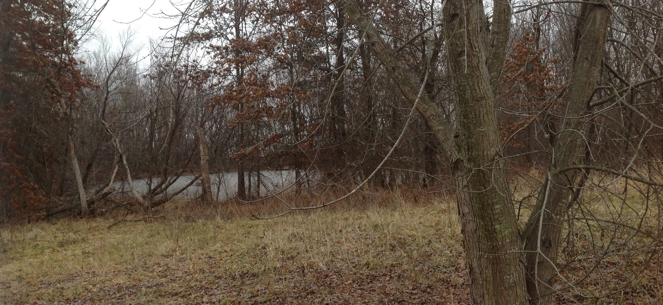Living on the Edge: A Dancing Rabbit Update