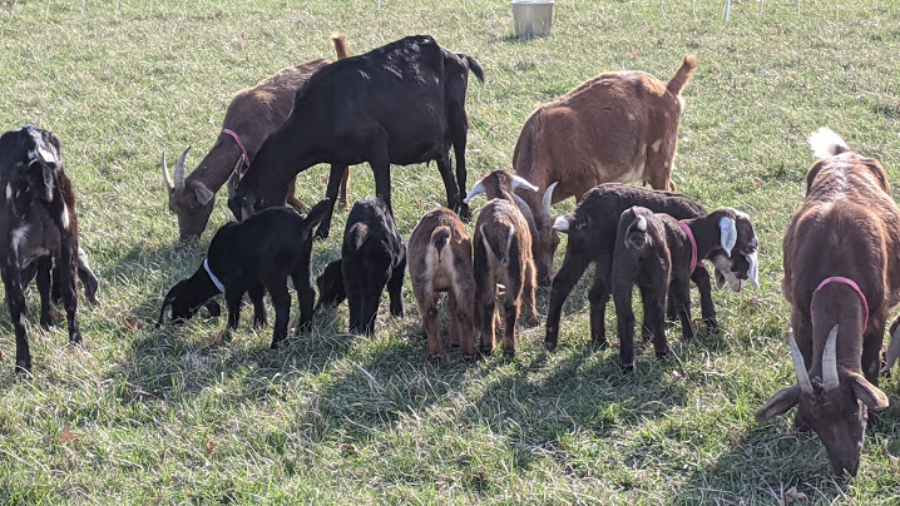 Prairie's First Access Class