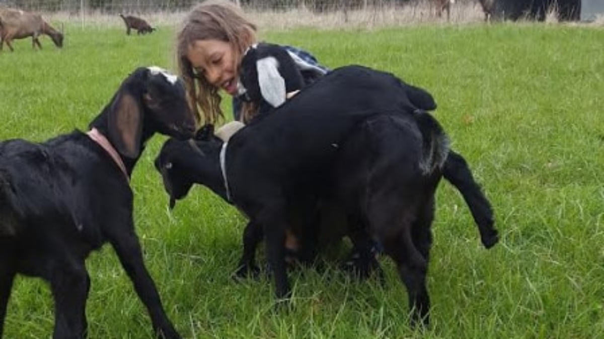 Christina's son, Max, playing with the other kids.