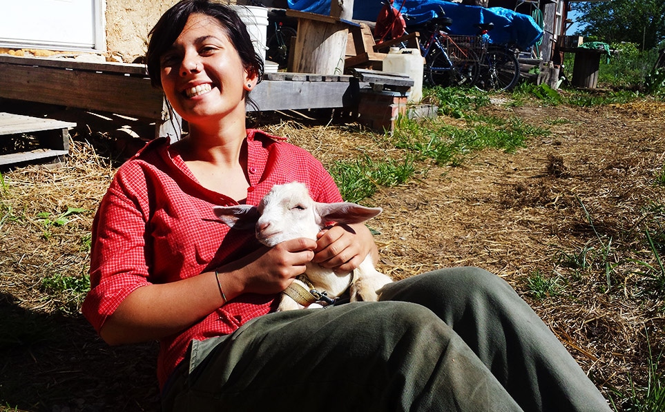 Dancing Rabbit Ecovillage Communal Living Sustainable Living