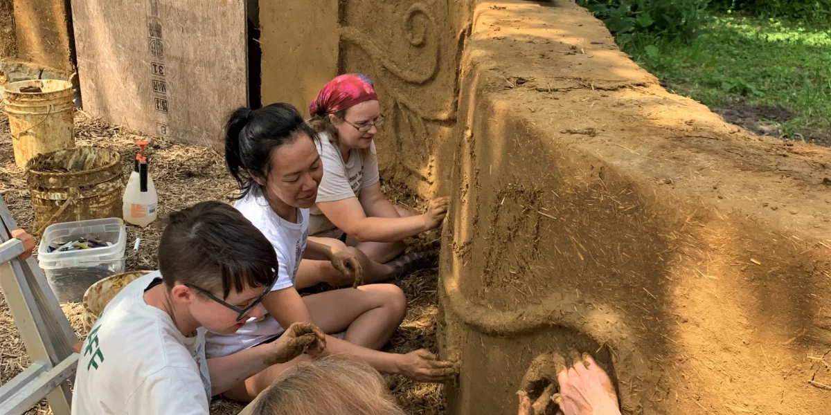 danadriscollwallwork